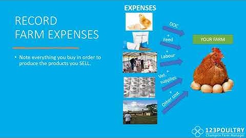 Basic financial training for poultry farmers (NO CALCULATIONS OR EXCEL REQUIRED)