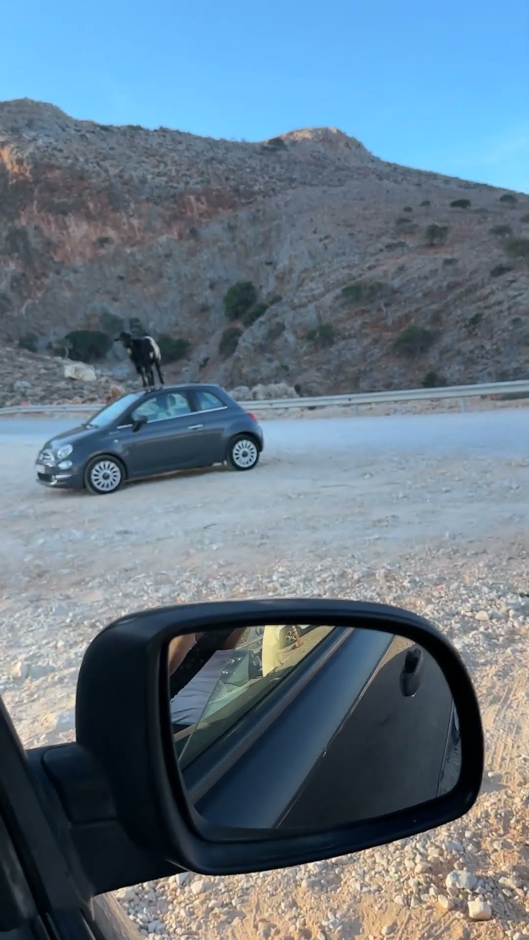 Lone Mountain Goat Perched on Parked Car in Countryside