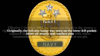 Master Chief Petty Officer of the Navy badge Top # 6 Facts