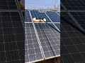 #solarpanelcleaningbrush #solarpanelcleaning #brush #factory #planelcleaningbrush