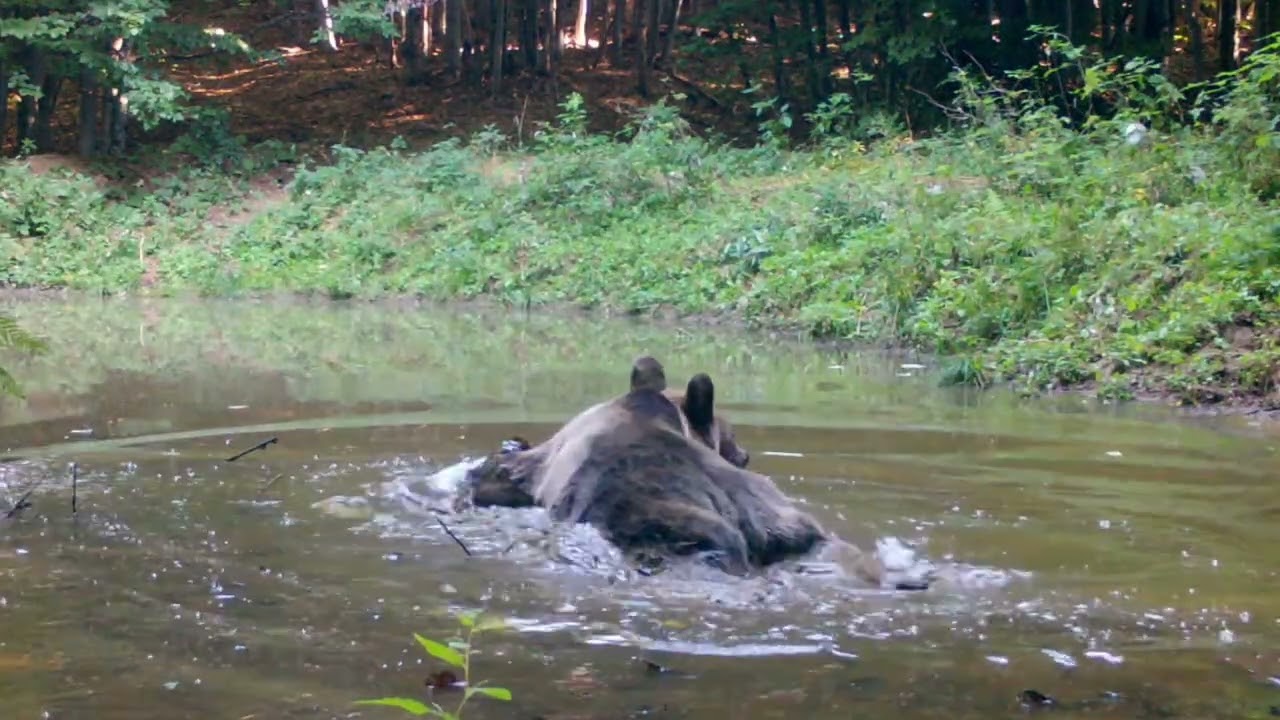 Un An în Munții Făgăraș 2023