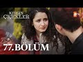 Kırgın Çiçekler 77 Bölüm Atv 