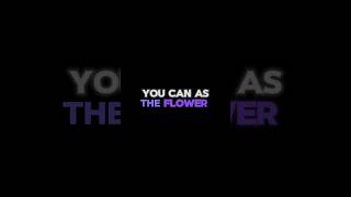 You Can As The Flowershortsfeed viral viralsong shorts trending new edit editing viralfeeds