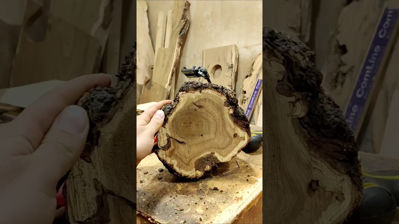 Turning a wooden dish 