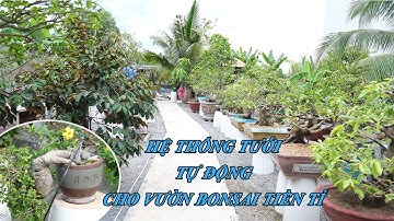 SÀI GÒN HOA HOÀN THIỆN HỆ THỐNG TƯỚI TỰ ĐỘNG CHO VƯỜN BONSAI TIỀN TỈ TẠI SÀI GÒN