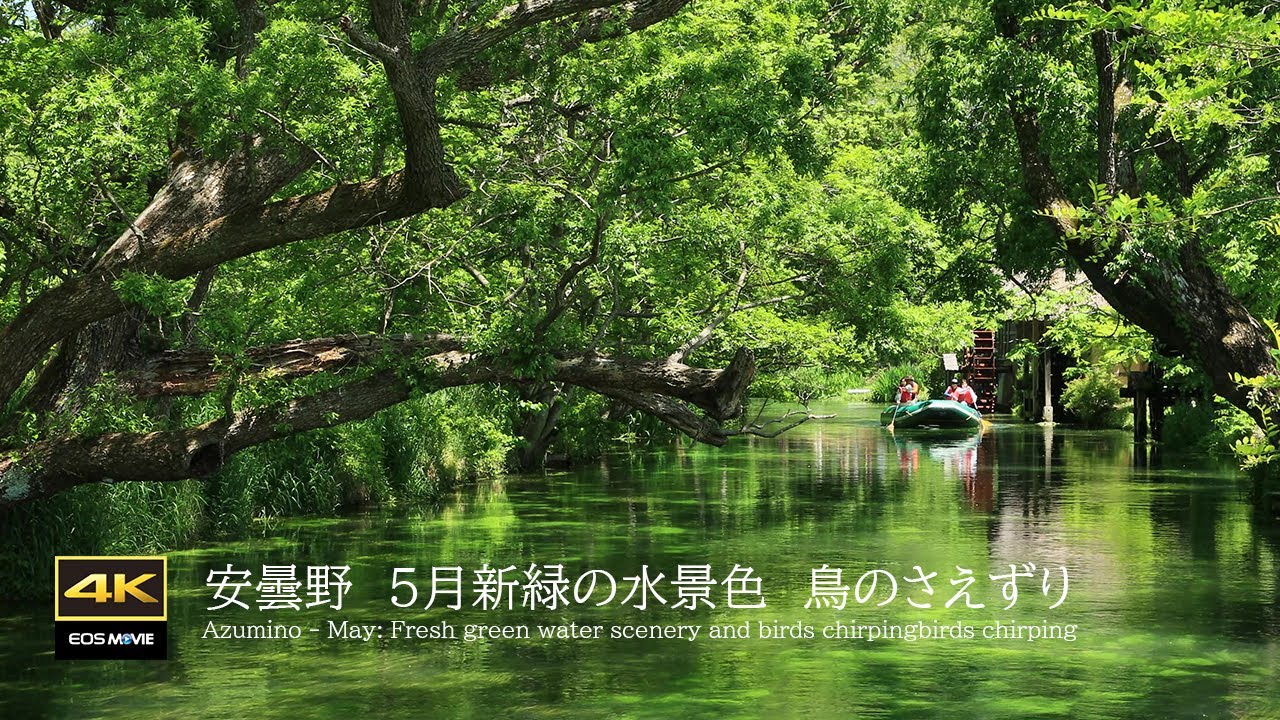 自然の音 ベンガルの魂 4K natural environmental sound Enbaru River Healing underwater