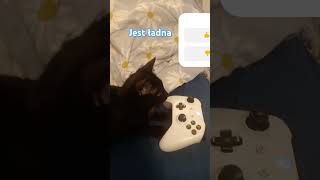 tak lub nie screenshot 5