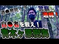 【閲覧注意】富士の樹海にたこ焼き配りに行ったらヤバすぎた（青木ヶ原樹海）