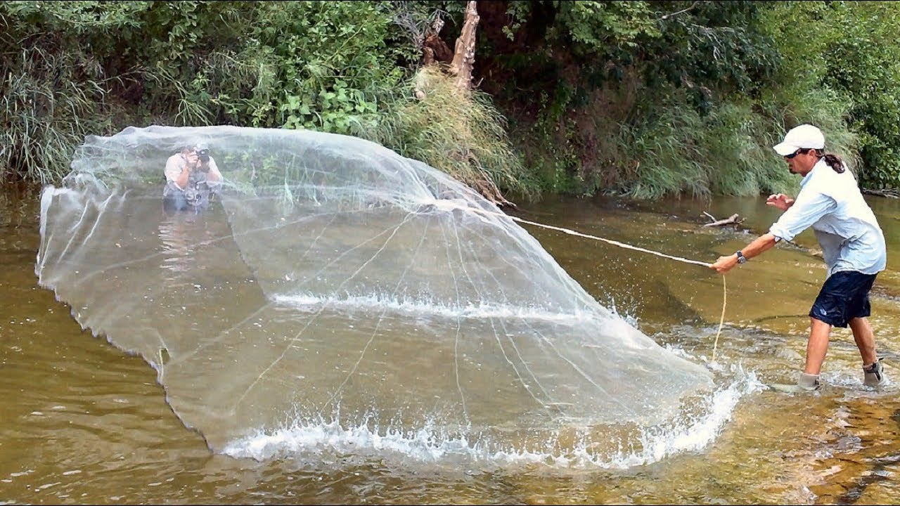 commercial wade fishing with a 12ft cast net 
