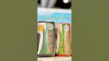 "Út cưng" trong gia đình túi rác cuộn của Khai Tuệ đã có mặt tại VPPE 2025 🥰 #khaitue #VPPE2025