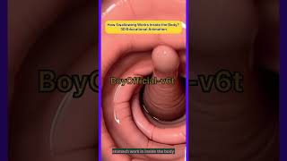How Swallowing Works Inside the Body? 3D Educational Animation ll#viral #ytshorts #trending #stomach