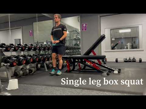 Single leg box squat