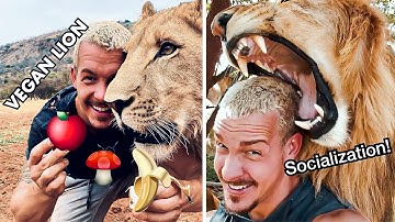 Dean Schneider Lion Facts [You Probably Don
