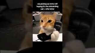 POV: every unknown number is my offer letter