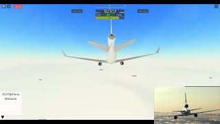 American Airlines Flight 96 - Landing in PTFS