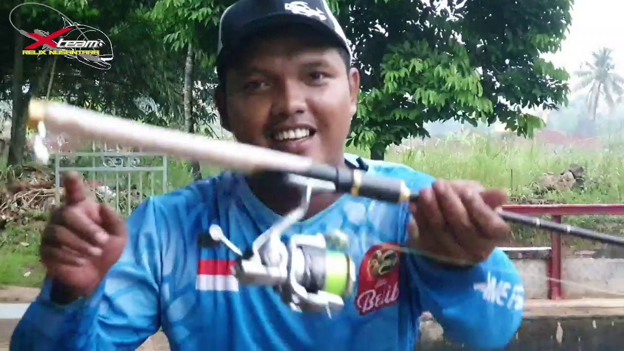 JORAN GALATAMA Ikan mas Orong -Orong