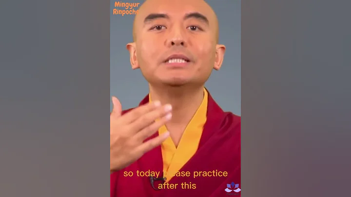 Can meditation make you feel worse? !!! Mingyur Rinpoche -