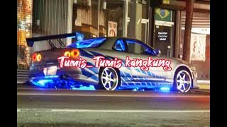 Dj Terbaru Tumis_Tumis kangkung  remix 2023