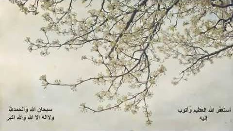 ناصر القطامي , سورة عبس