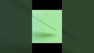 Volume 6 Main Rwby Team