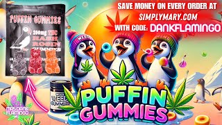 Trying Puffin THC Gummies from Simply Mary! Mrs Dank Flamingo Cannabis Review!!