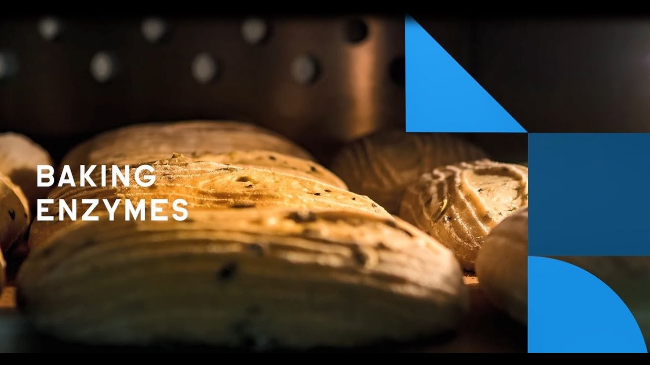 Inspiring bakery innovation with IFF advanced enzyme solutions YouTube