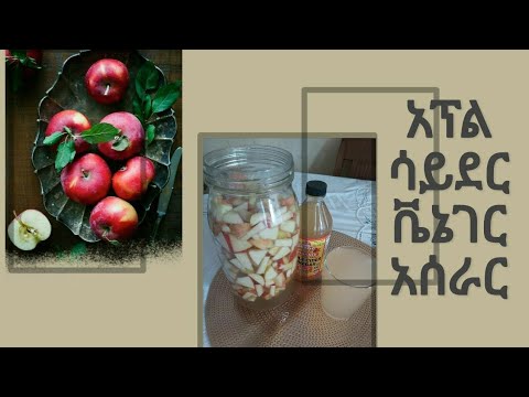 ቪዲዮ: አንድ ድመት ዘዴዎችን እንዲሠራ እንዴት ማስተማር እንደሚቻል -15 ደረጃዎች (ከስዕሎች ጋር)