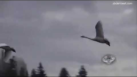 مقطع جمـييل جداا من سورة الحجر من تلاوة من روائع السبعينات النادرة