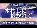 木枯しに抱かれて/小泉今日子 エレクトーン解説 月刊エレクトーン2025年11月号掲載曲 グレード7級
