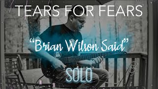 Tears For Fears - Brian Wilson Said (Guitar Solo) by Adrian Ghostfly 2021