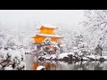 Winter Wonderland Snow Music - Beautiful Snow Scene & Best sleep music and relaxing music sleep #99
