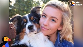 Patient Dog Waits for Soldier Dad With His Mom | The Dodo