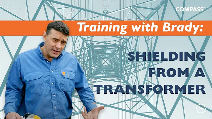Training with Brady: Shielding from a Transformer