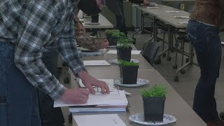 Life on the Farm: Crop Scouting