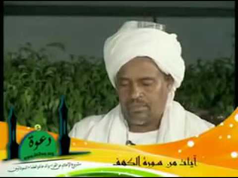 رفيق السنين