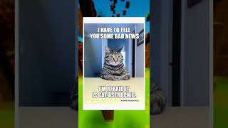 This News Could be Cat-astrophic - Imgflip