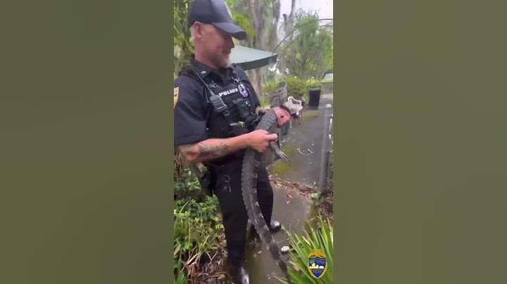 Jacksonville officers detain alligator found near 104-year-old Florida woman's home