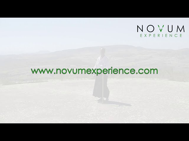 01 Choku Tsuki - Aikido Novum Experience - Jo Suburi Nijuppon - Tsuki Gohon - 直突き-合気道 杖素振り20本 -突き5本