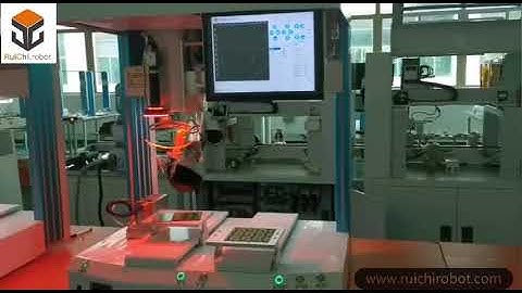 Ruichi Double Station Soldering Robot with CCD camera