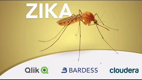 Zika Presentation