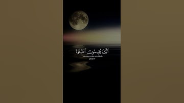 تلاوة خياليه لي الشيخ عبدالولي الأركاني #قرآن #مكة #السعودية