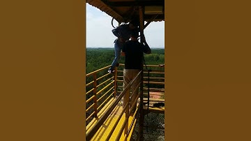 Rừng Vàm sát Cần giờ Vn