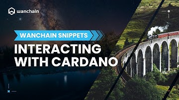 Interacting with Cardano