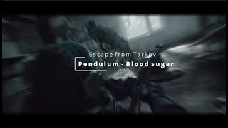 Escape from Tarkov (Pendulum - Blood sugar)