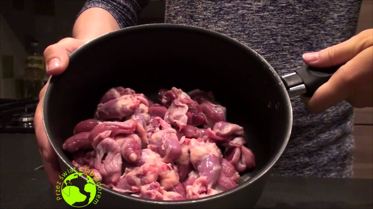 Przepis na psi tort / Przez świat z labradorem