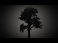 Ásgeir - Að grafa sig í fönn (Lyric Video)