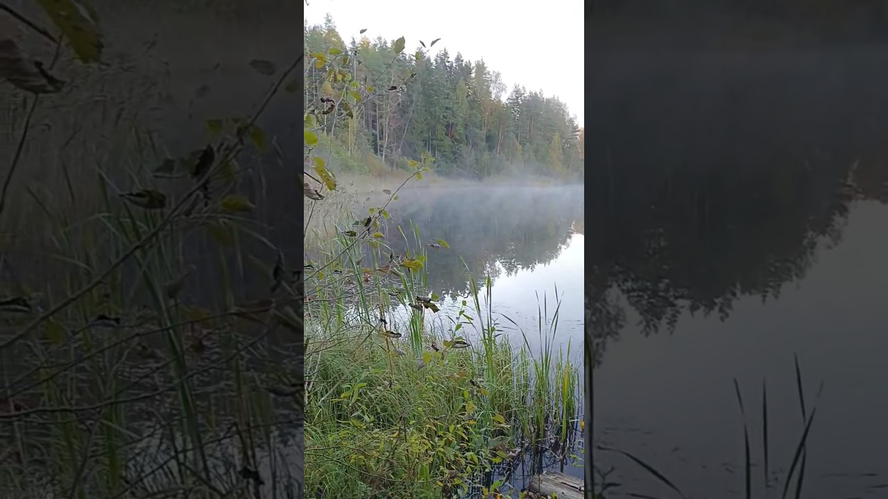 туман на озере 