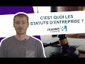 Statuts de socit  quel rle et  quoi a correspond  