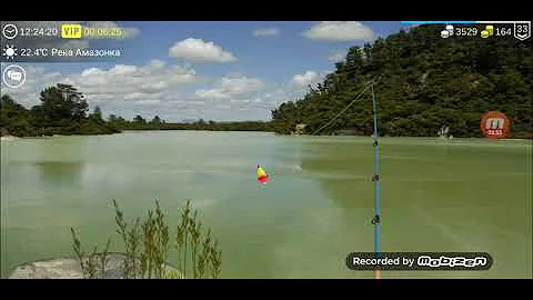 Как наловить чёрных кайманов в игре My fishing world