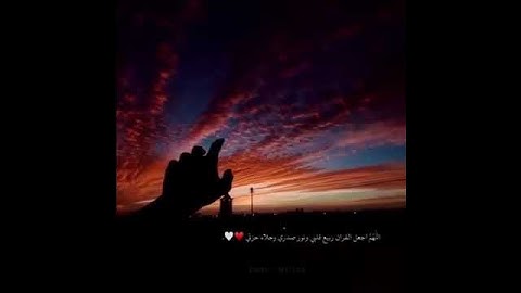 حالات واتساب قرانيه //💕 / القارئ عبدالرحمن مسعد// وعلم انك سترحل